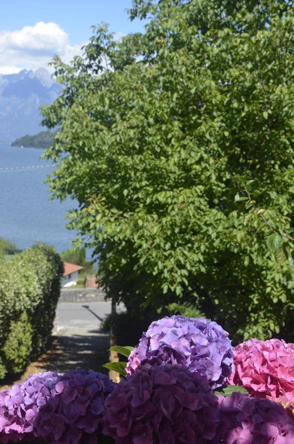 Anma Cottages The Secret Garden Pianello Del Lario Dış mekan fotoğraf